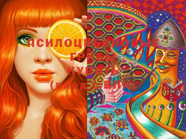 герыч Медногорск